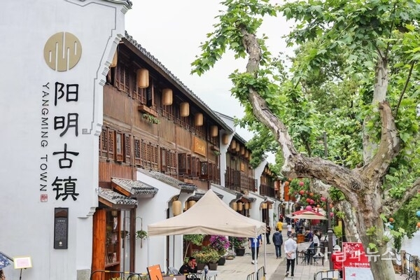 Yangming Town, Yuyao
