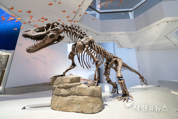 His Highness Sheikh Khaled bin Mohamed bin Zayed Al Nahyan inaugurates Natural History Museum Abu Dhabi in Saadiyat Cultural District