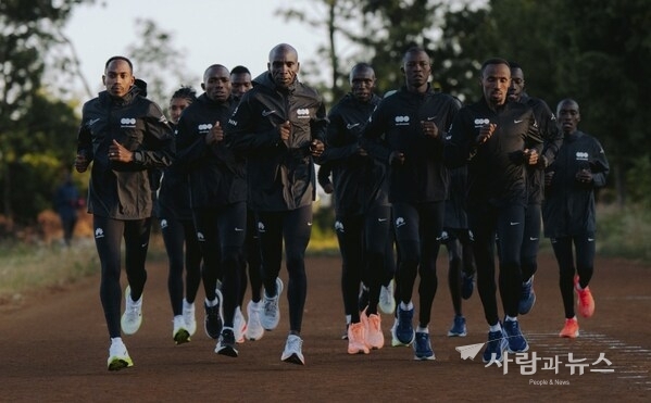 The dsm-firmenich Running Team